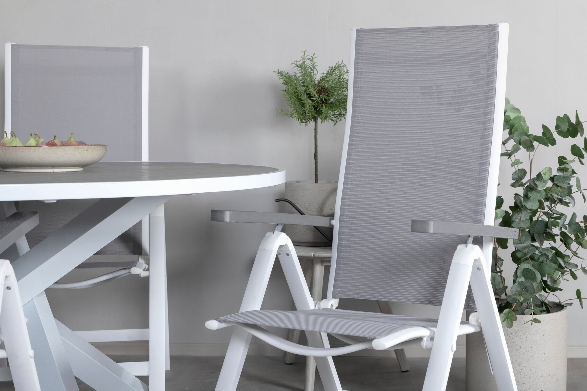 1784731241526_77114b43dedd16a1.jpg