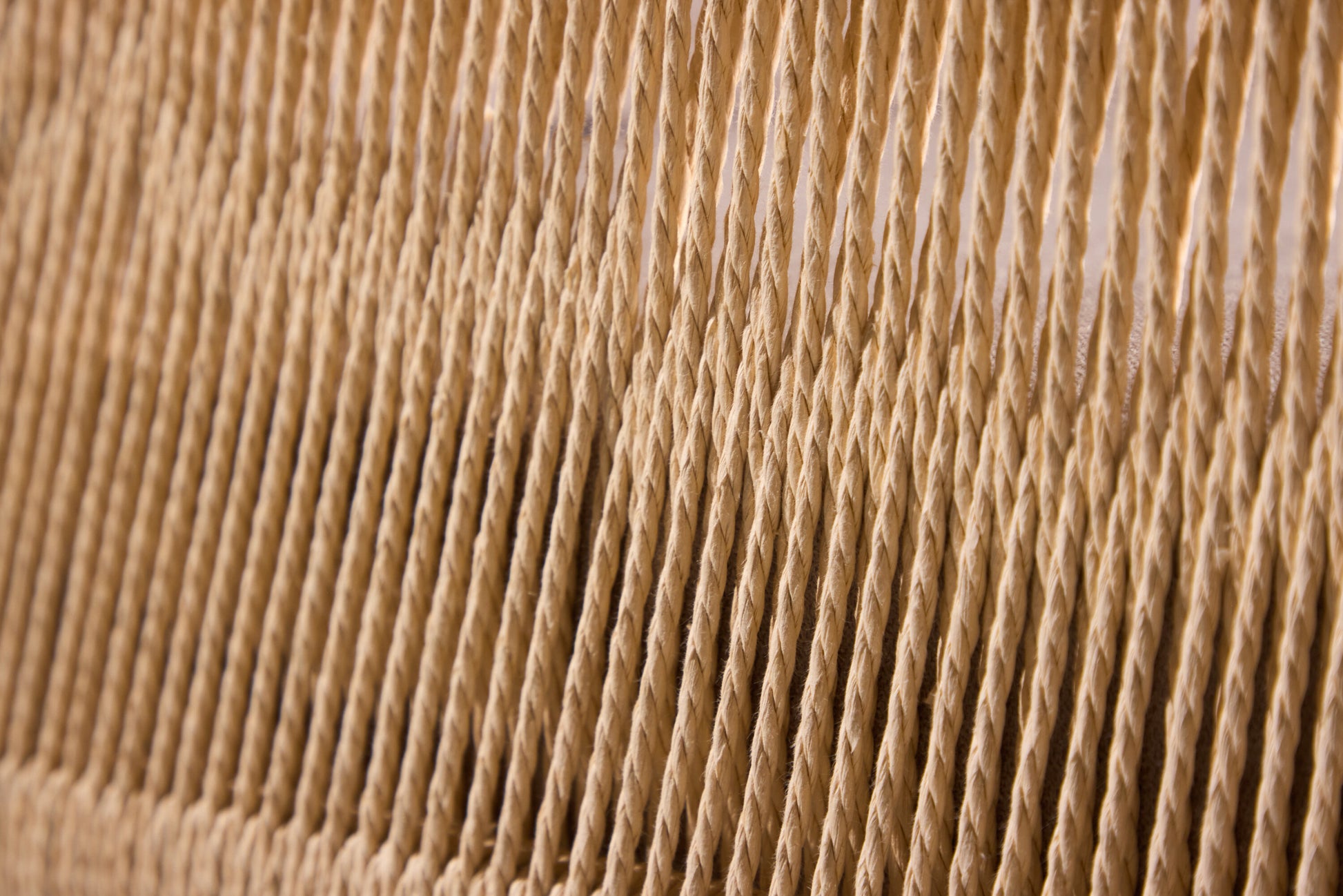 1784739303675_3810a8ede8daa01e.jpg