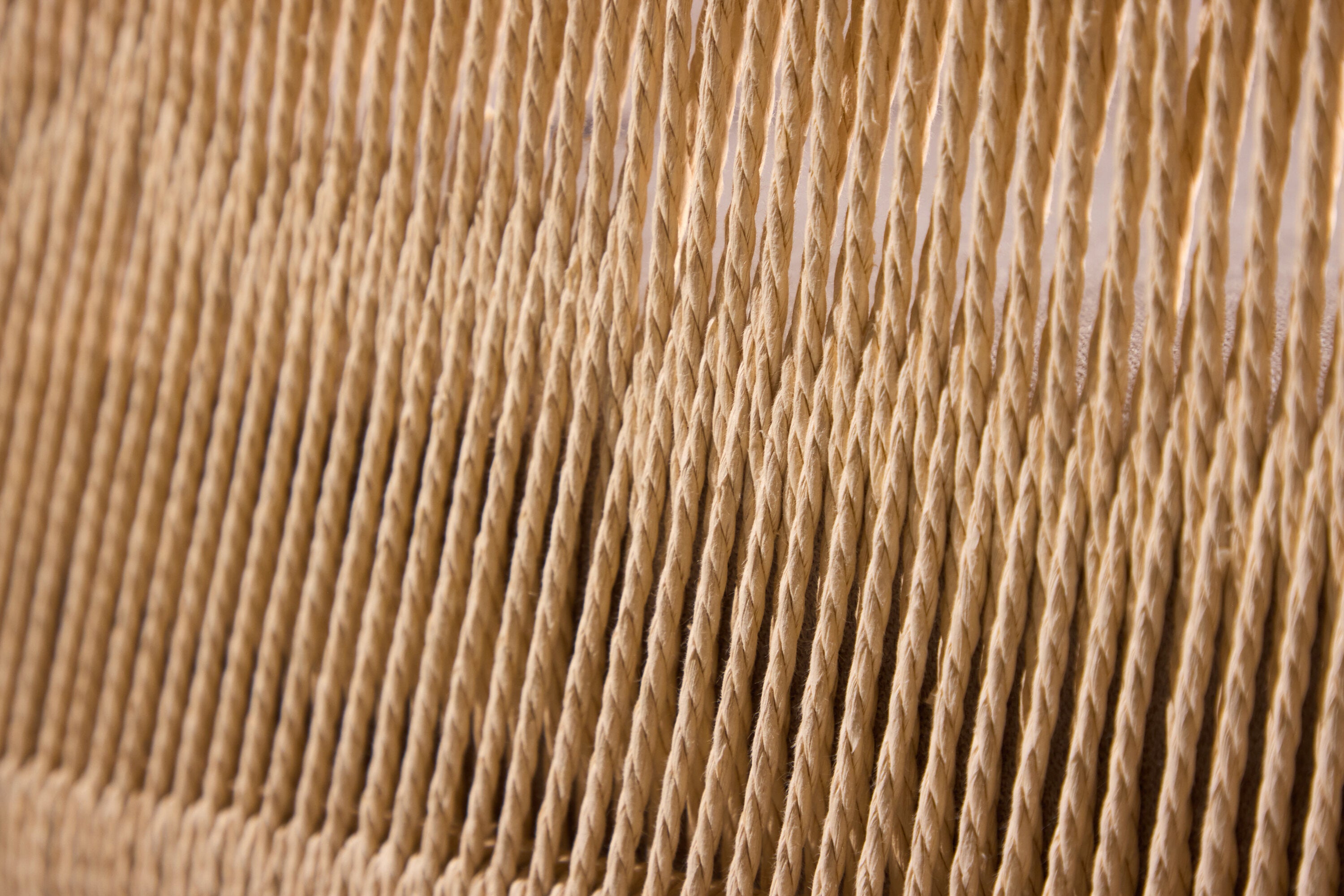 1784739303675_3810a8ede8daa01e.jpg