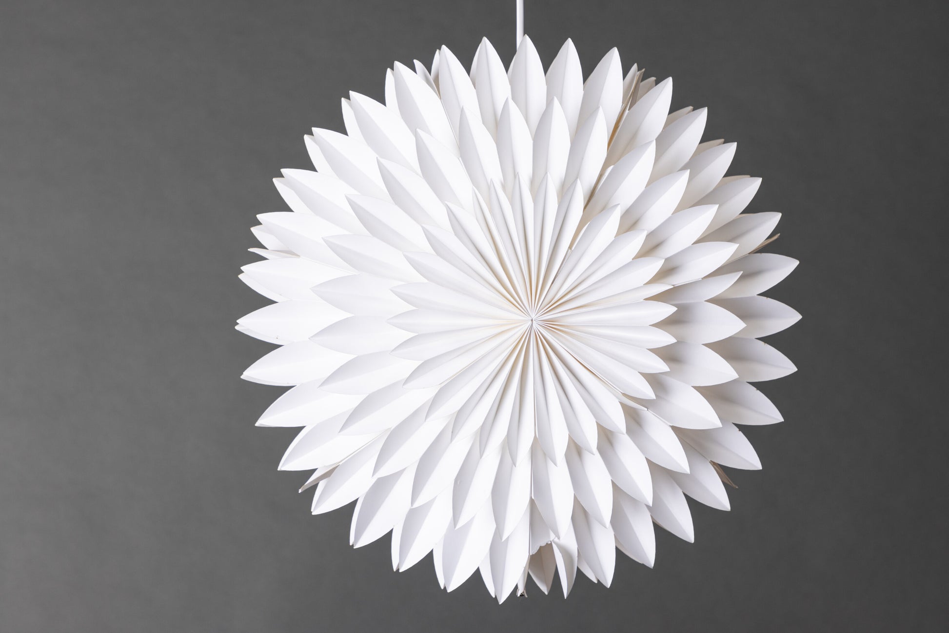 1784751171254_7edc42a48dcca8c4.jpg