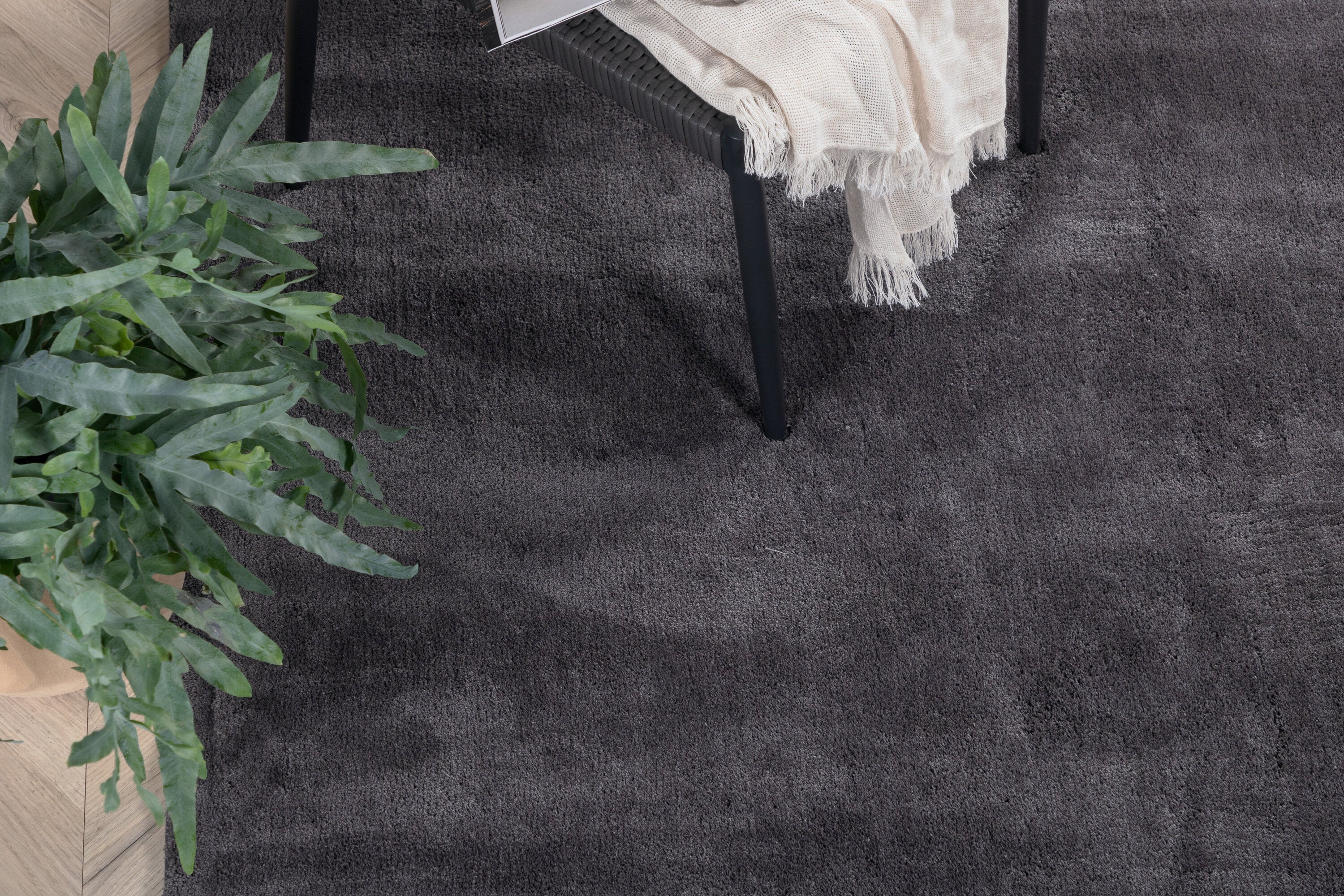 1784751705920_daa45f2ab06e003c.jpg
